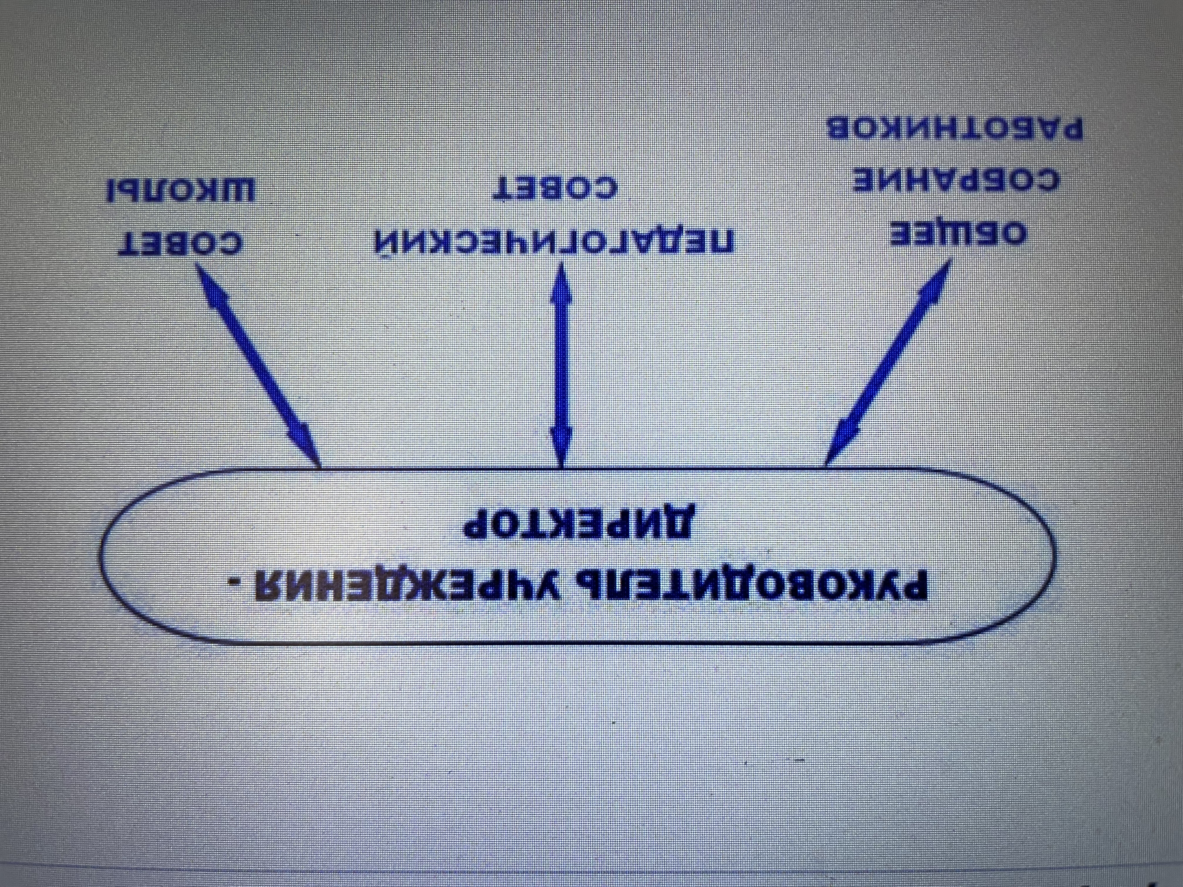 Структурных подразделений нет.